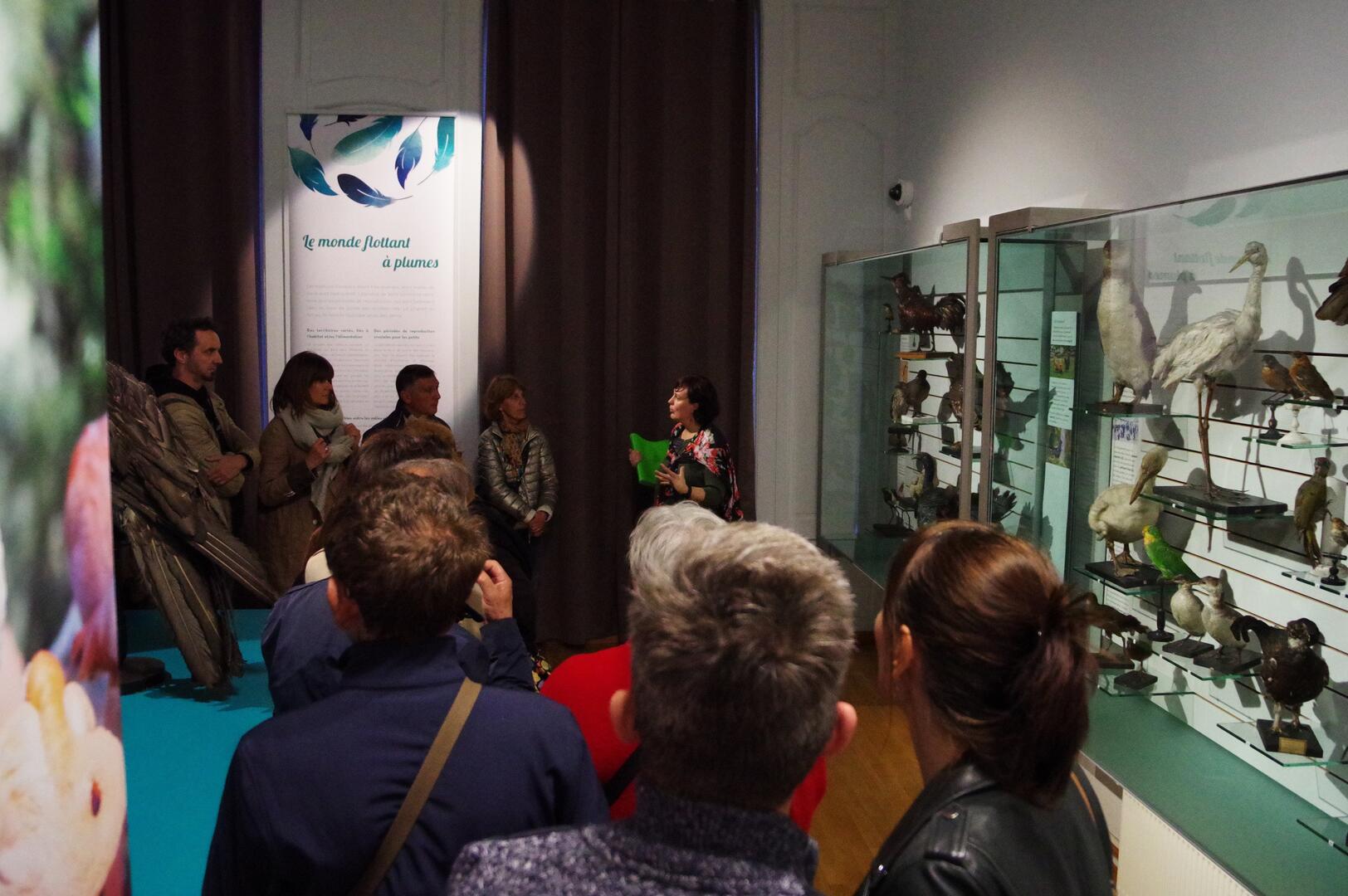 30-12-visite-expo-a-plume-musee-sandelin
