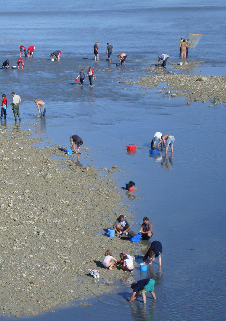 02 - Marée basse