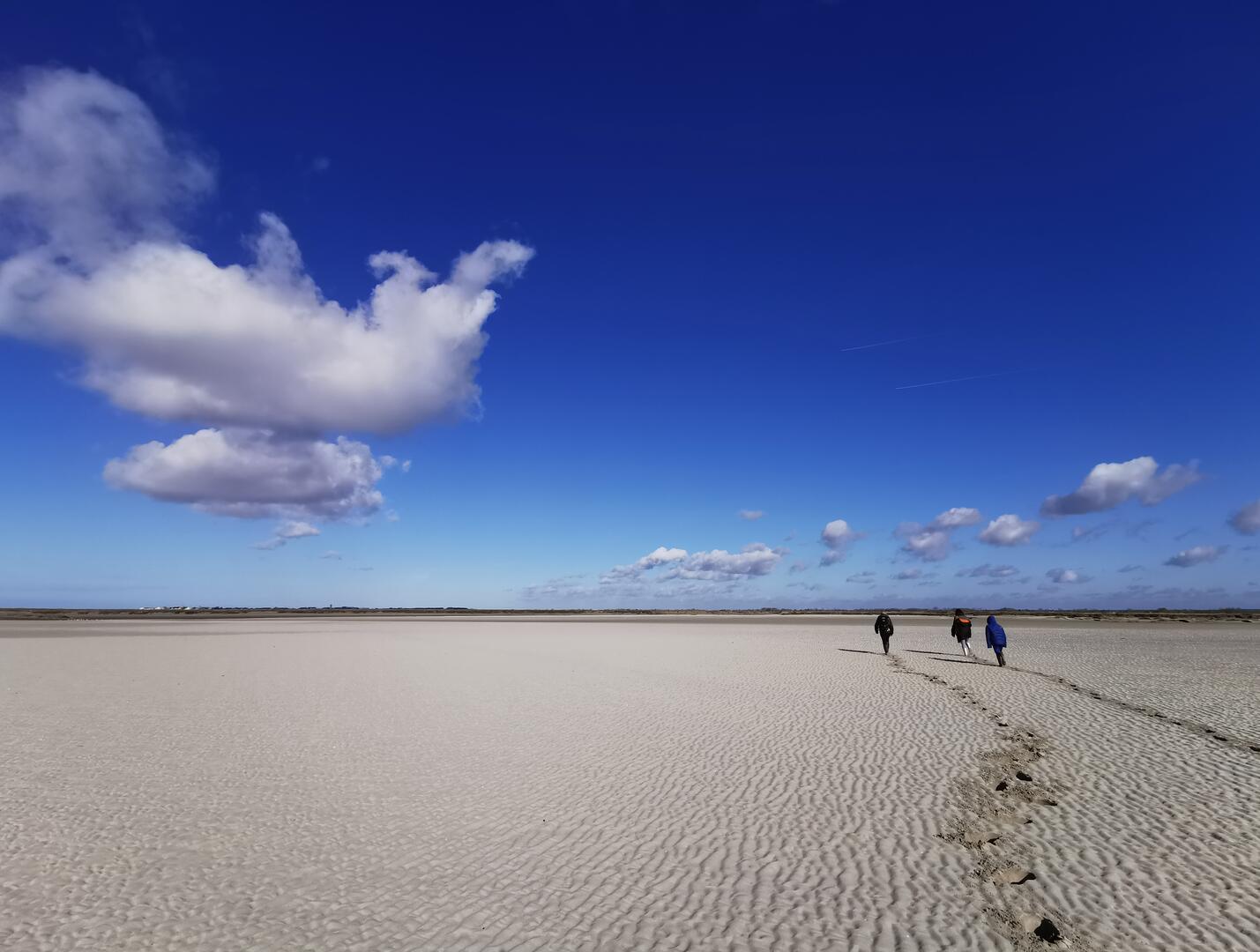 olivier noël - guide en baie de somme