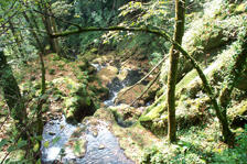 Corveissiat - cascade tufs vue dessus adobe