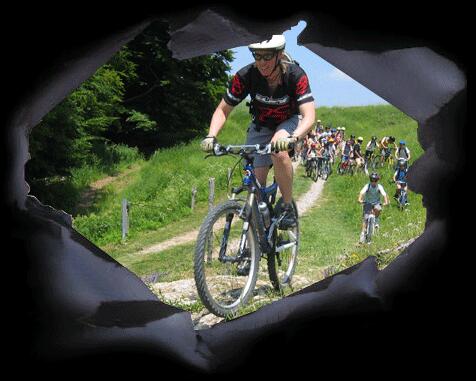 vtt
