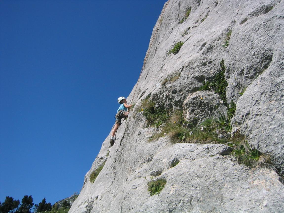 img-name-mising
