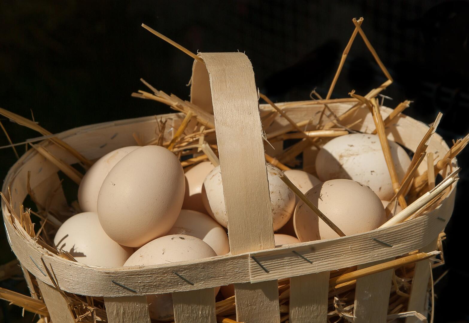 oeufs