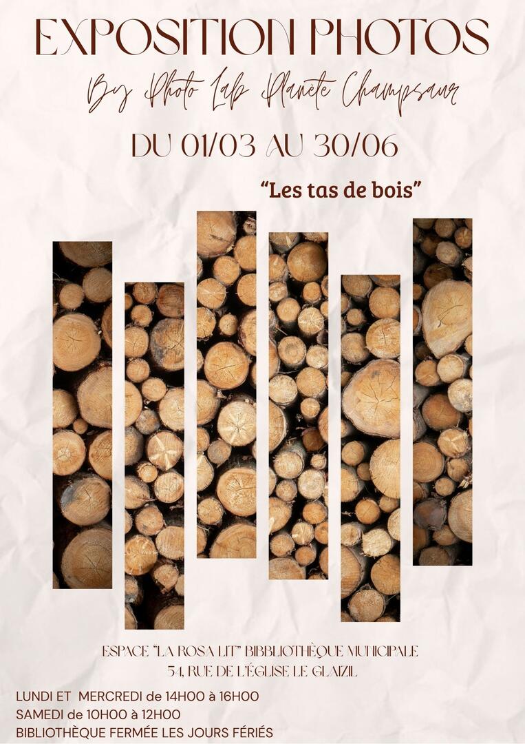 Exposition photos, "Tas de bois"