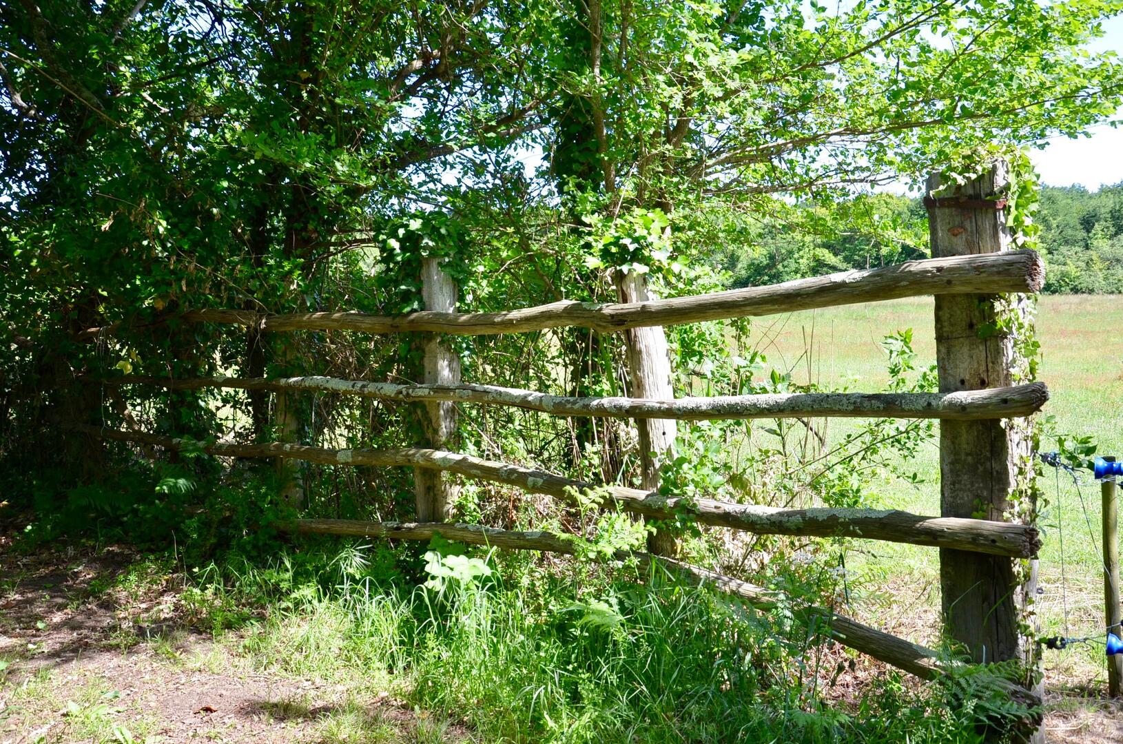 rochefort-ocean-gripperie-saint-symphorien-reserve-nature