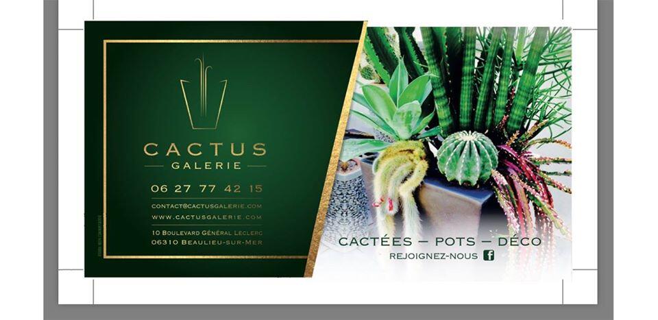 Cactus Galerie Beaulieu-sur-Mer