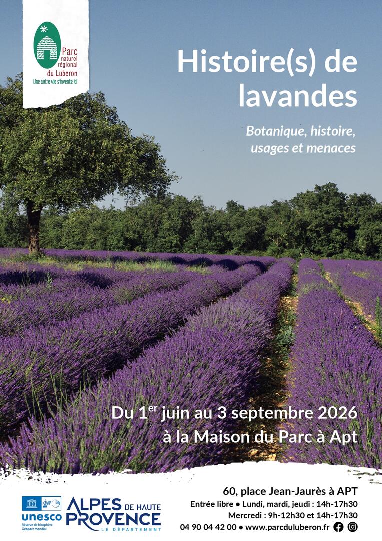 Exposition " Histoire(s) de lavandes "_Apt
