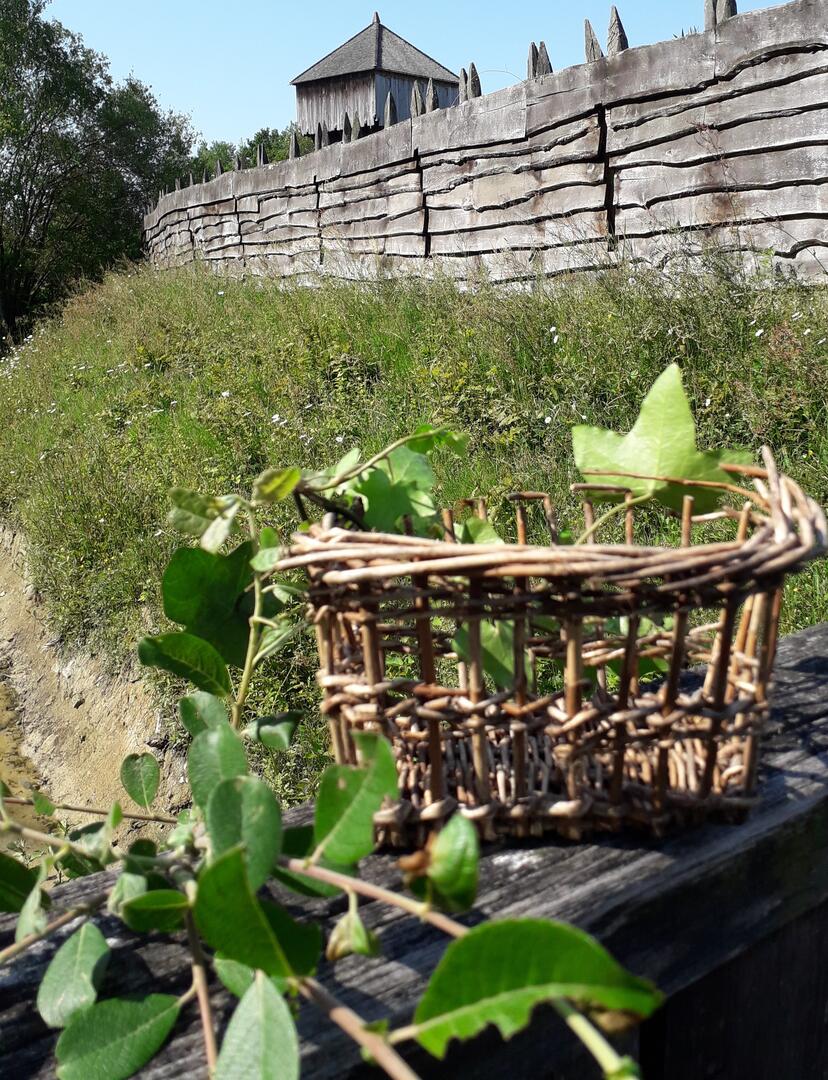 Atelier vannerie sauvage au Château à motte