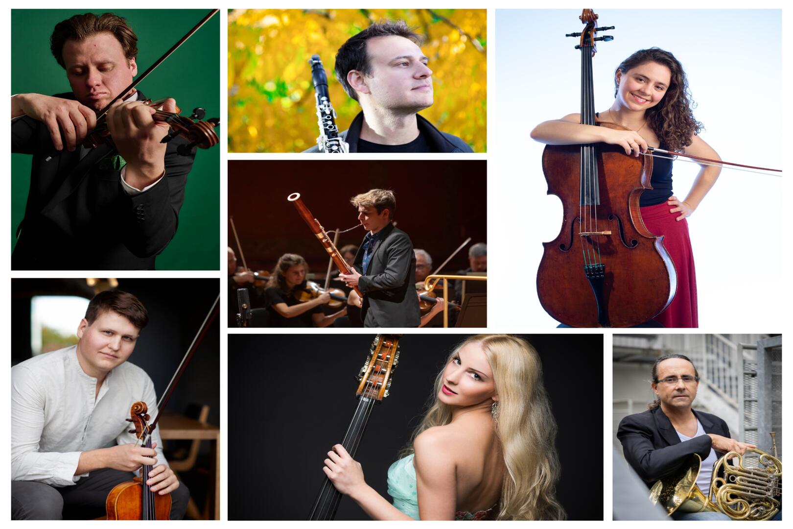 Rencontres Musicales Champéry | Ludwig !_Champéry