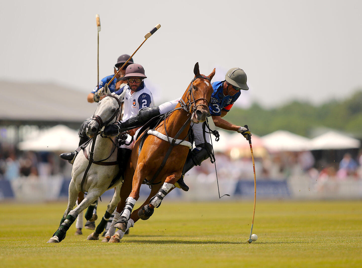 Polo Rider Cup