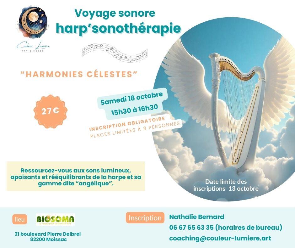 affiche voyage sonore harmonies célestes