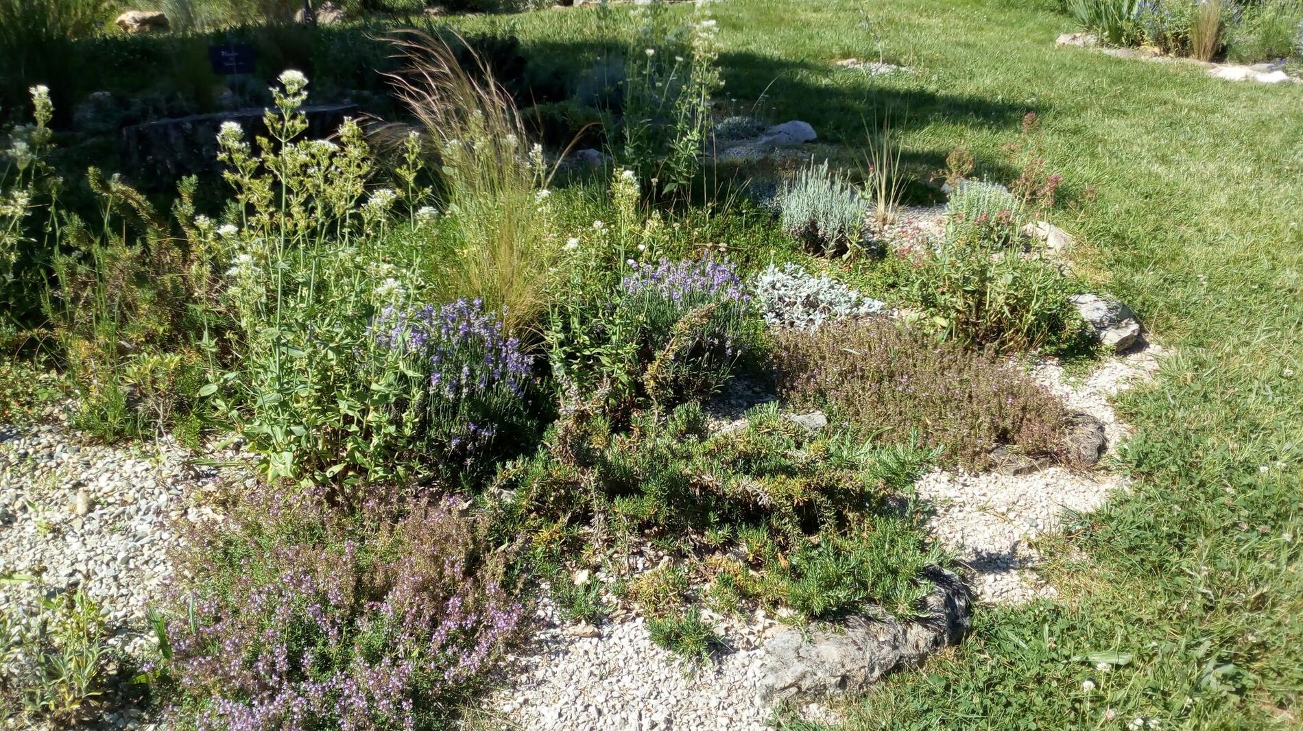 Jardin d'Annie