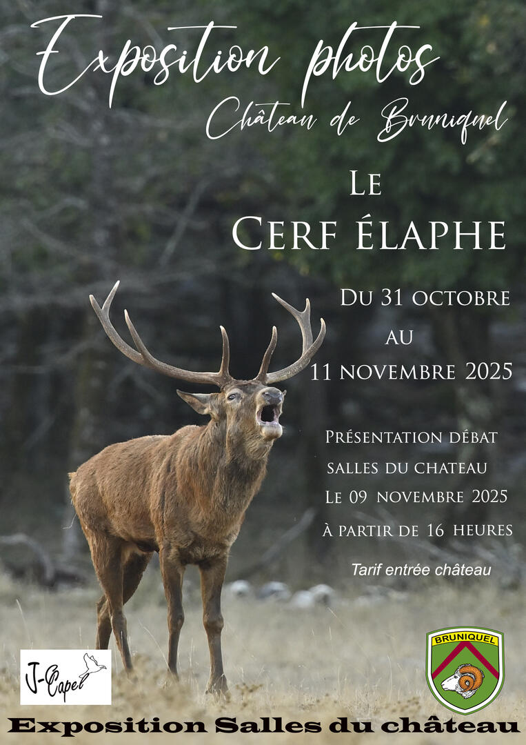 Exposition et conférence de Jean Claude Capel "Le Cerf"_Bruniquel
