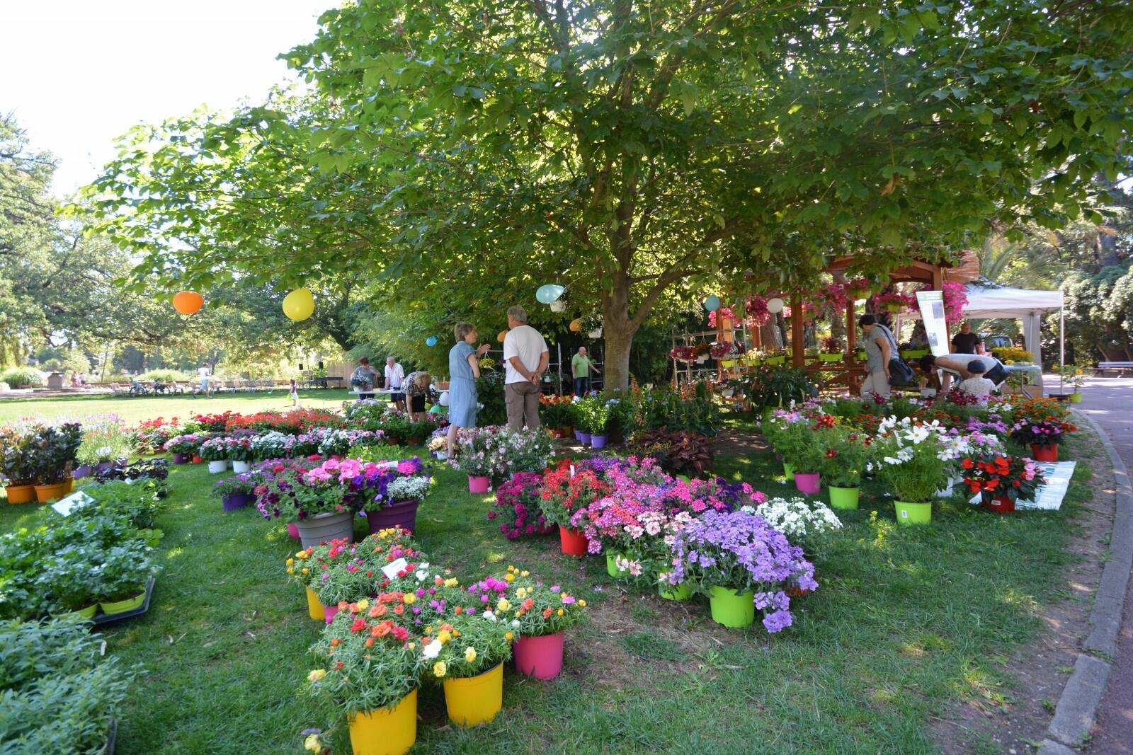 rendez-vous aux jardins Hyères