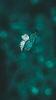 img-name-mising