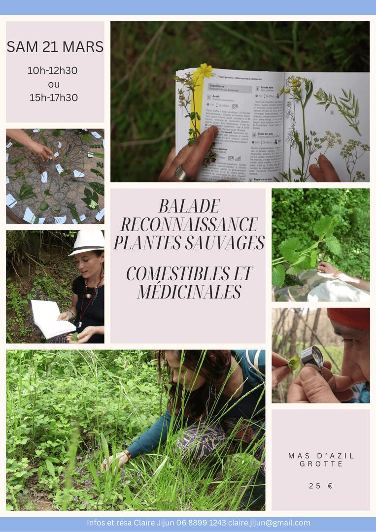 Balades à la découverte des plantes sauvages comestibles et médicinales_Le Mas-d'Azil