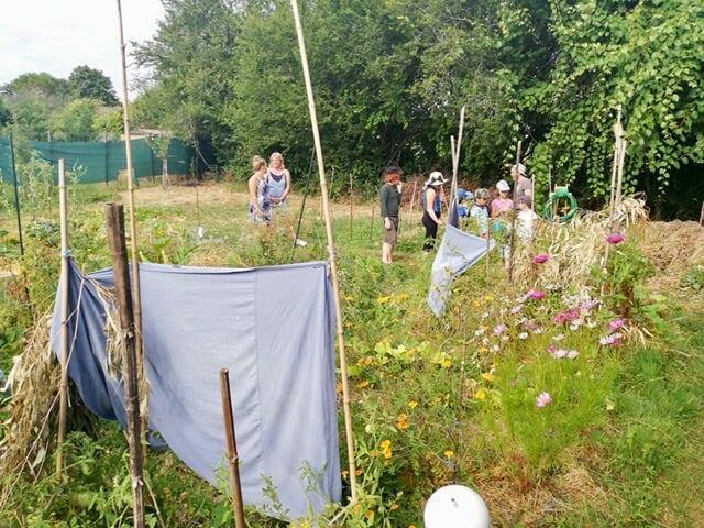 Jardin partagé