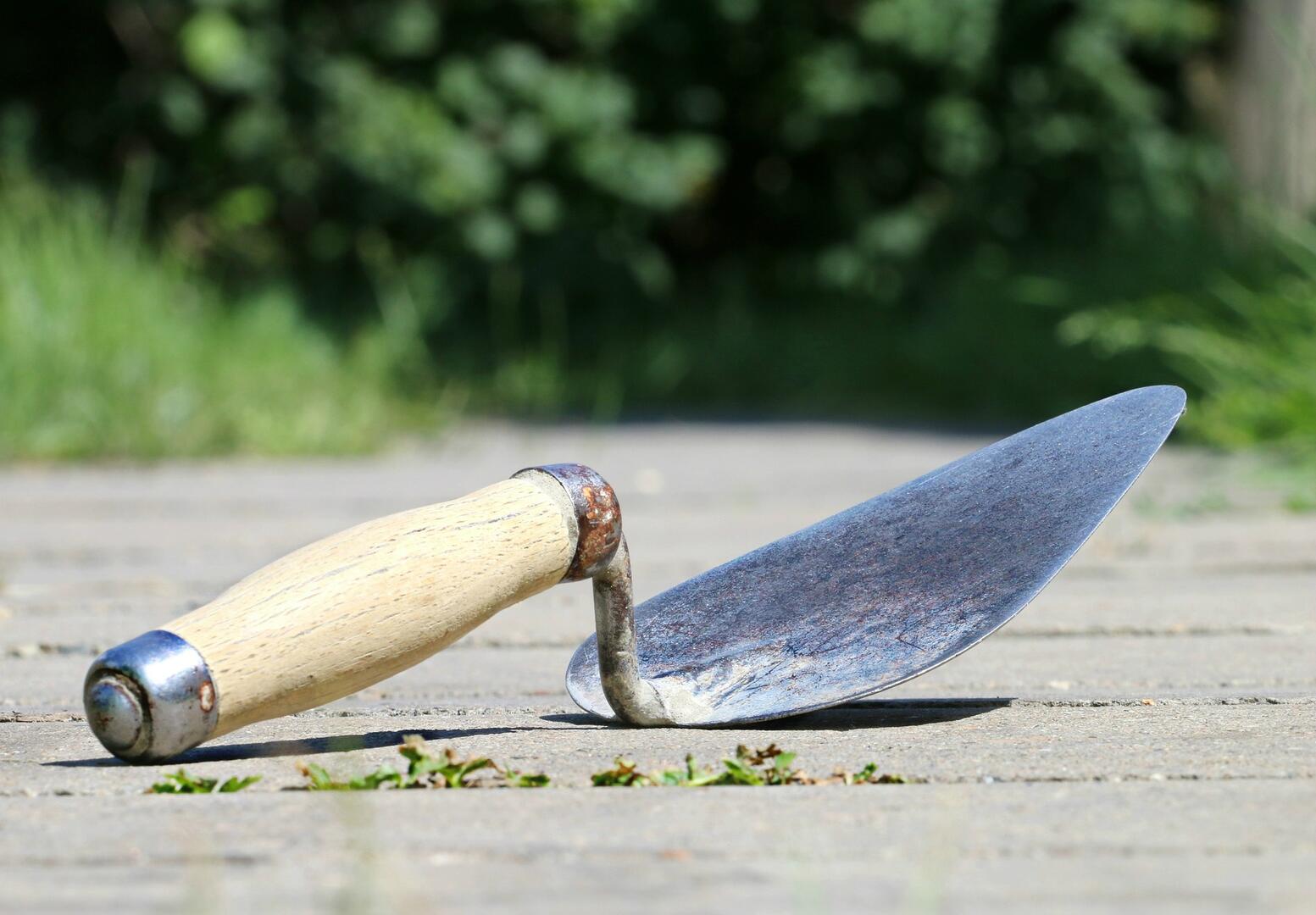 Salicis maçonnerie
