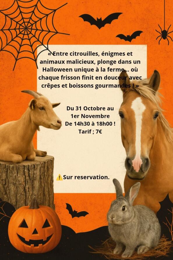 Animations d'Halloween à la ferme_Savigneux
