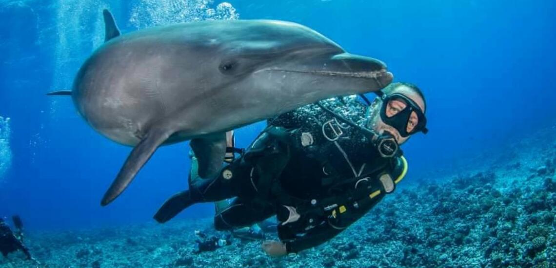 Archimede Expeditions - Tahiti Tourisme