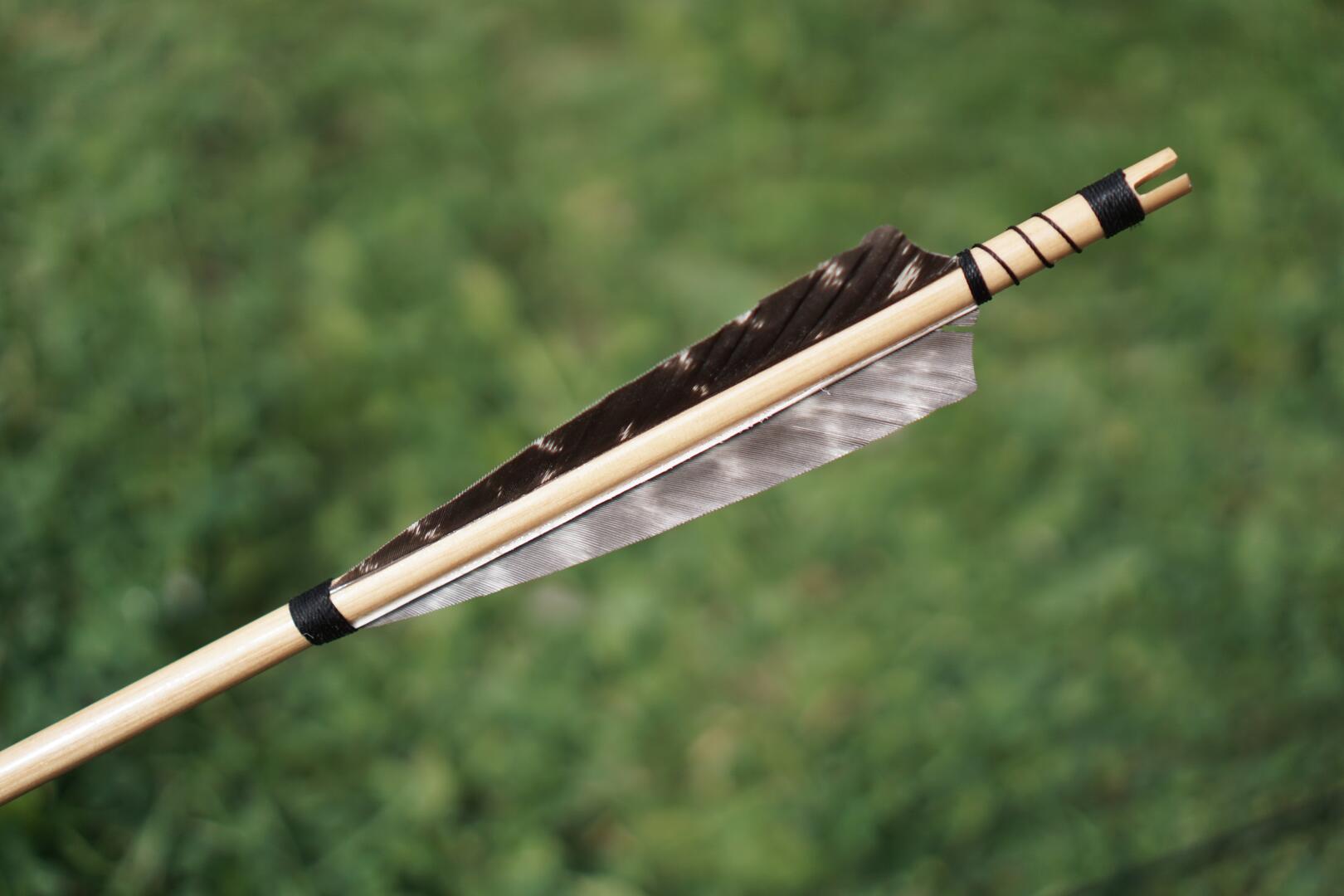 Tournoi des archers_Hérisson