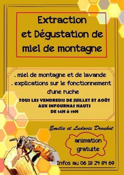 Extraction et dégustation de miel de montagne - Ferme Drouhot_Saint-Bonnet-en-Champsaur