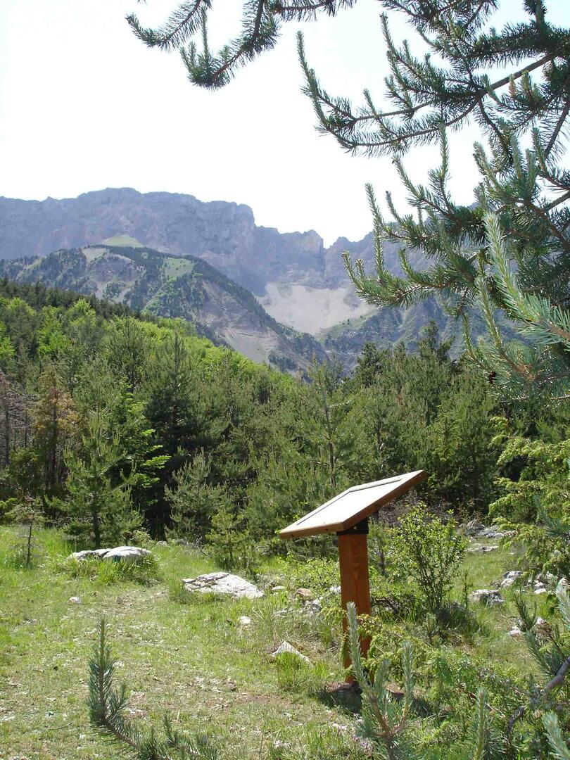 Journée botanique à la découverte des plantes médicinales des Hautes-Alpes