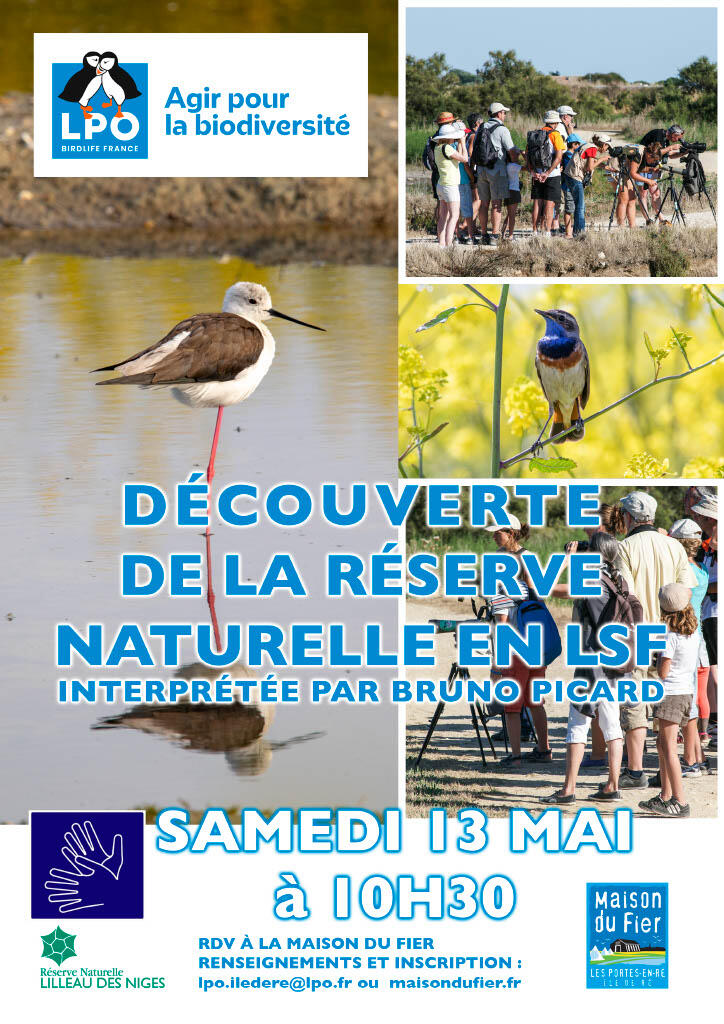 affiche LSF
