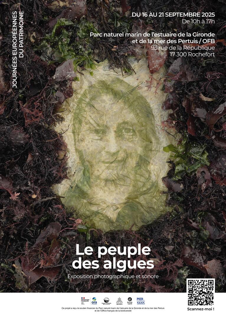 Le peuple des algues