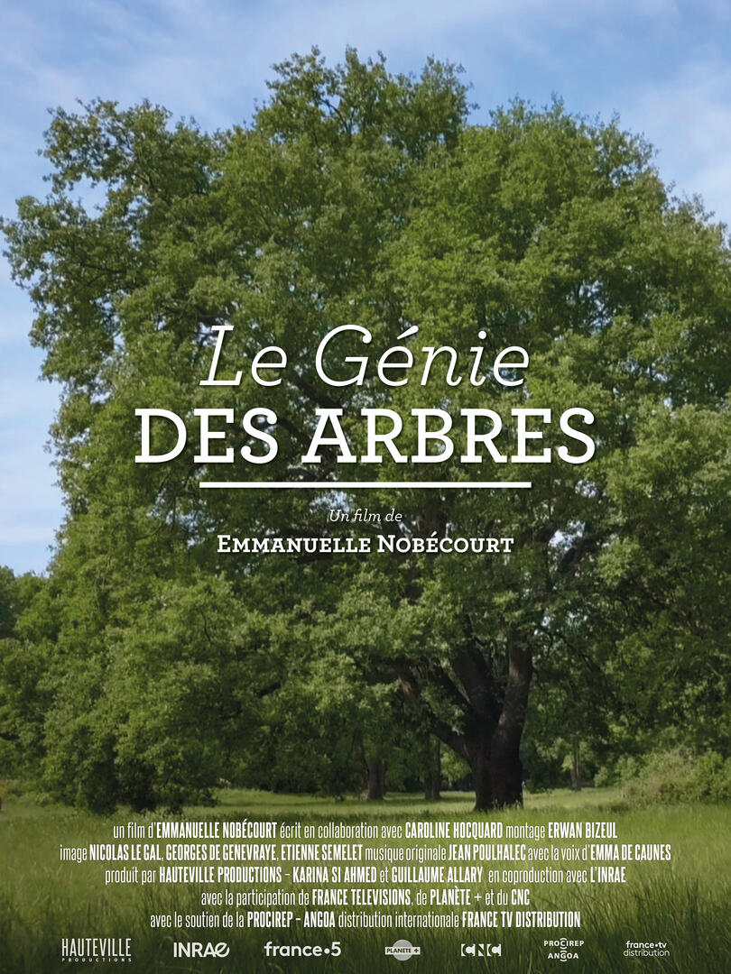 Le génie des arbres : projection - Mois du film documentaire_Bourg-en-Bresse