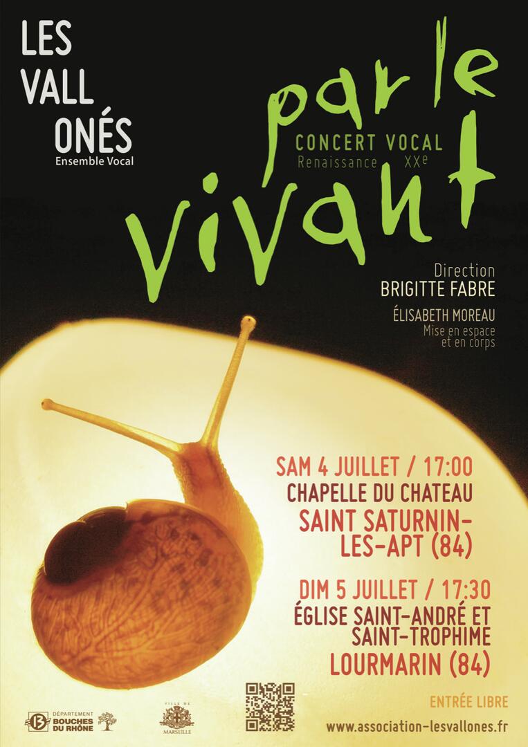 Flyer Vallonés