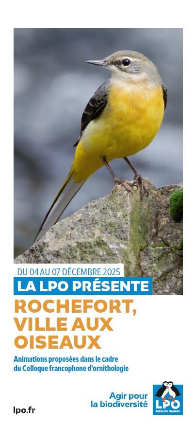 Rochefort, ville aux oiseaux_Rochefort