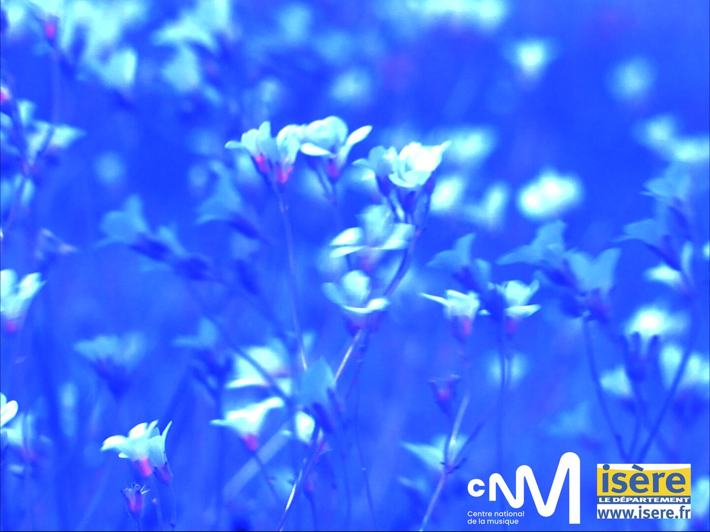 Pays Lointain - Collectif Regards des Lieux_Villard-Bonnot