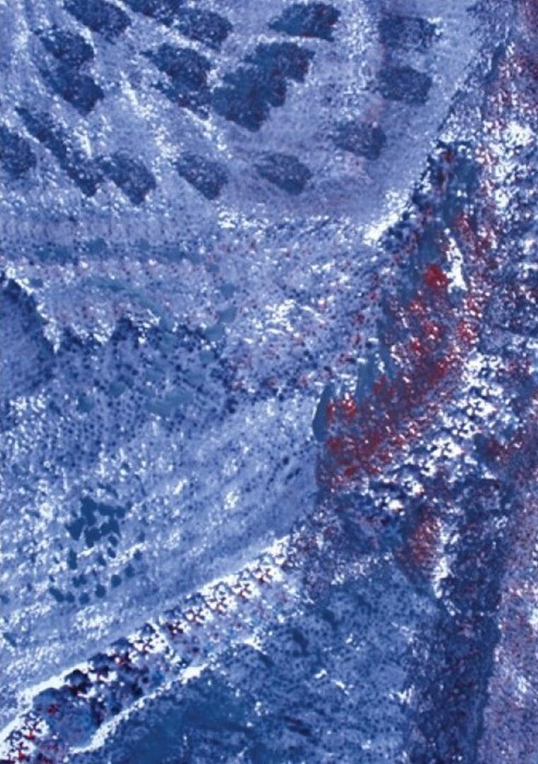 Exposition de peinture Patricia Pianetta à la mairie de la Terrasse