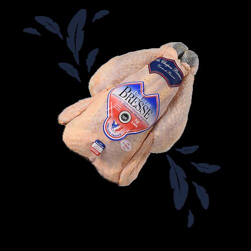 chapon bressan