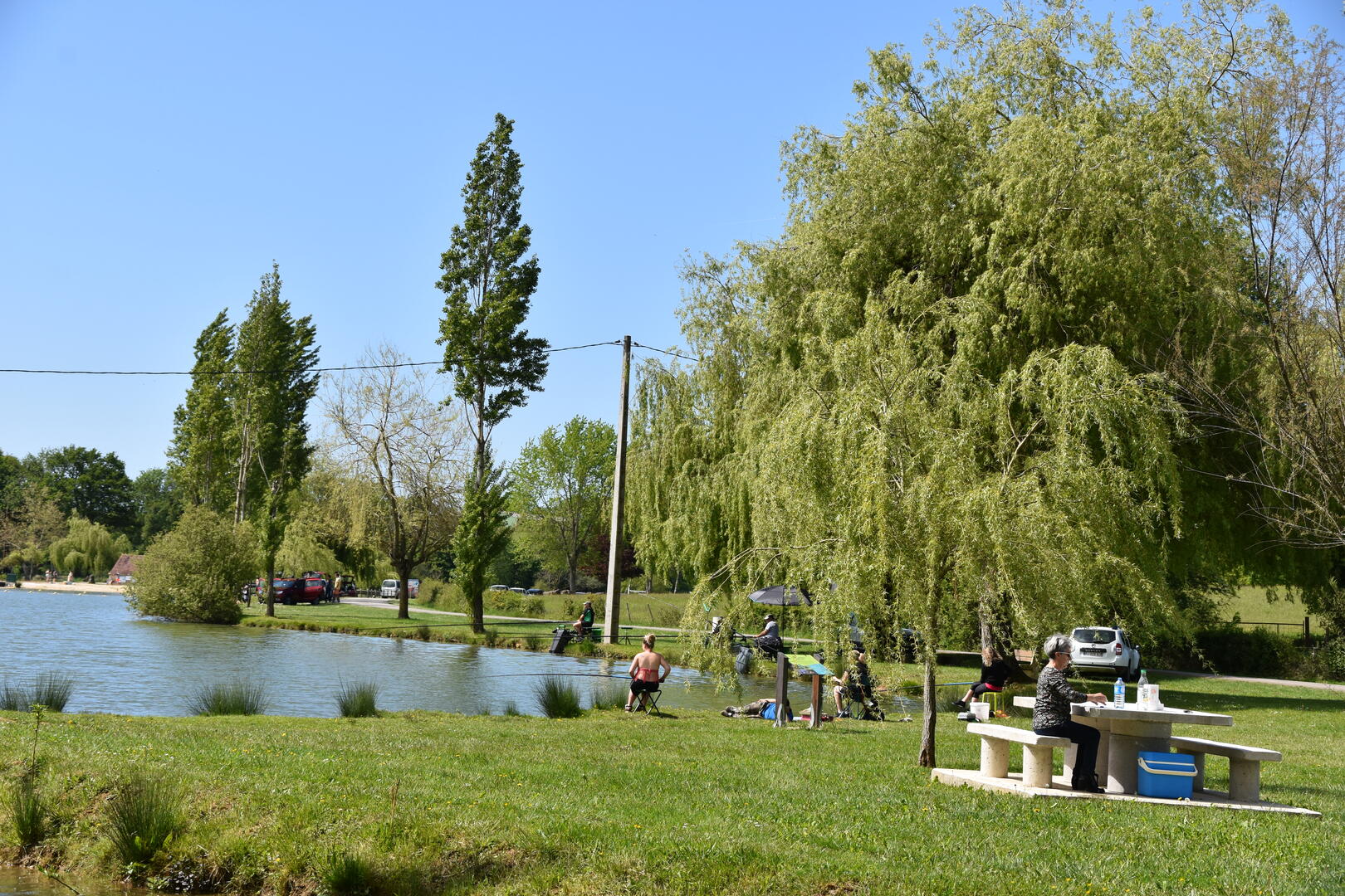 Aire de pique-nique du Lac de Parisot_Parisot