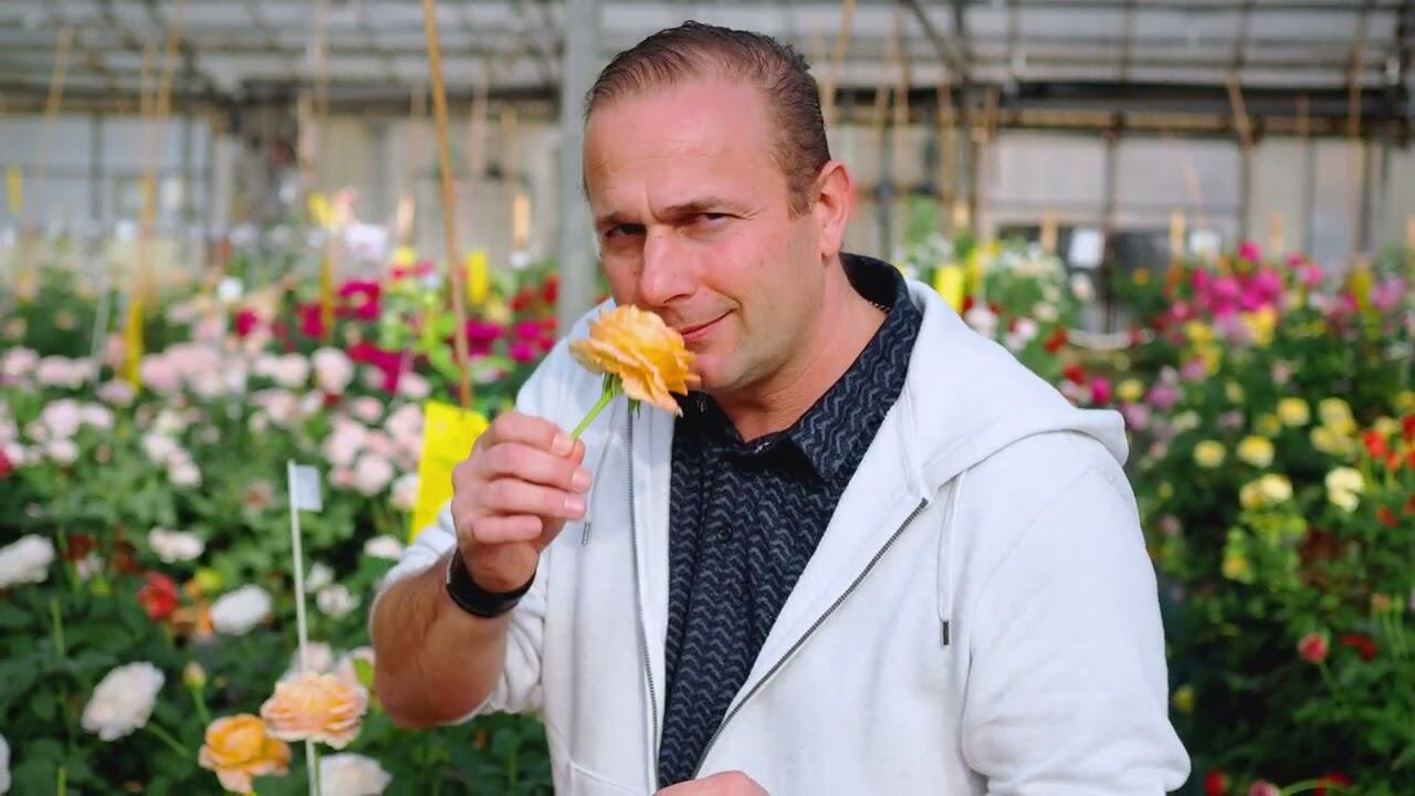 Les expérimentations de variétés de roses sans arrosage, ni taille par Matthias Meilland_Simiane-la-Rotonde