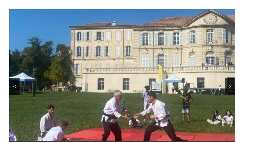Aïki Vu Dao Club La Batarelle