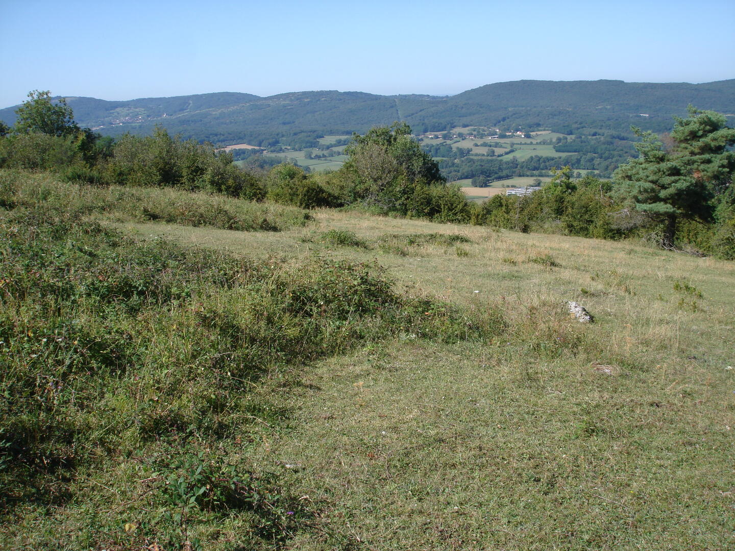 Les papillons des pelouses sèches de la RNN de la Grotte de Hautecourt