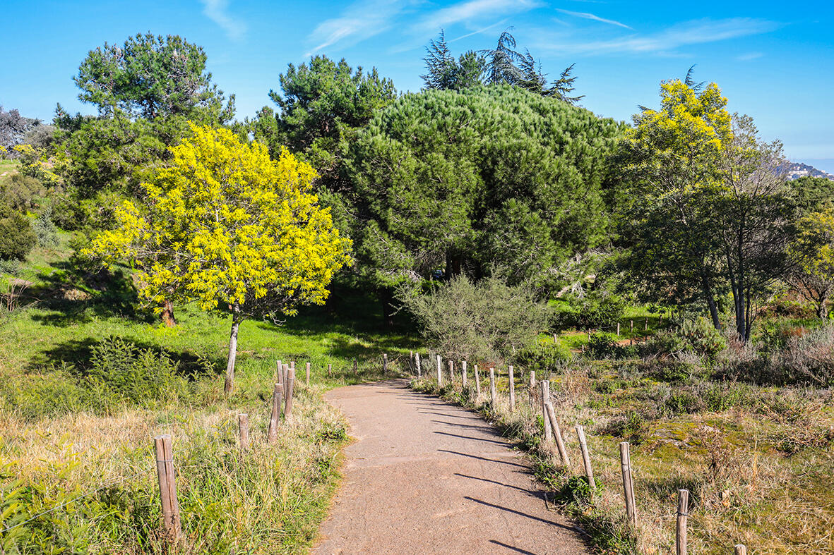 Vue du parc forestier de la Croix-des-Gardes
