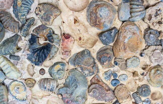 Maison du Marais : Aujourd'hui c'est géologie_Ceyzérieu