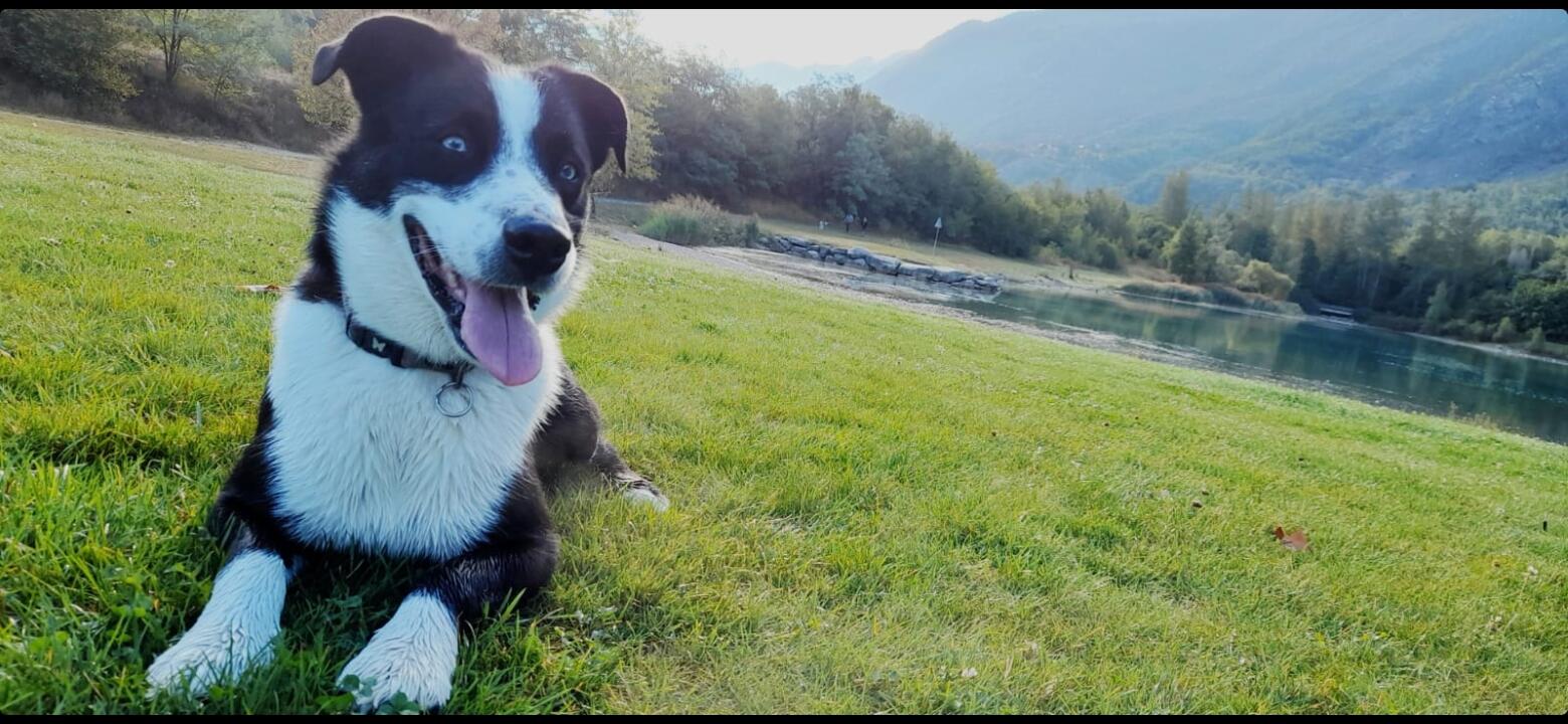 haute-maurienne-vanoise-esprit-canin-gardiennage