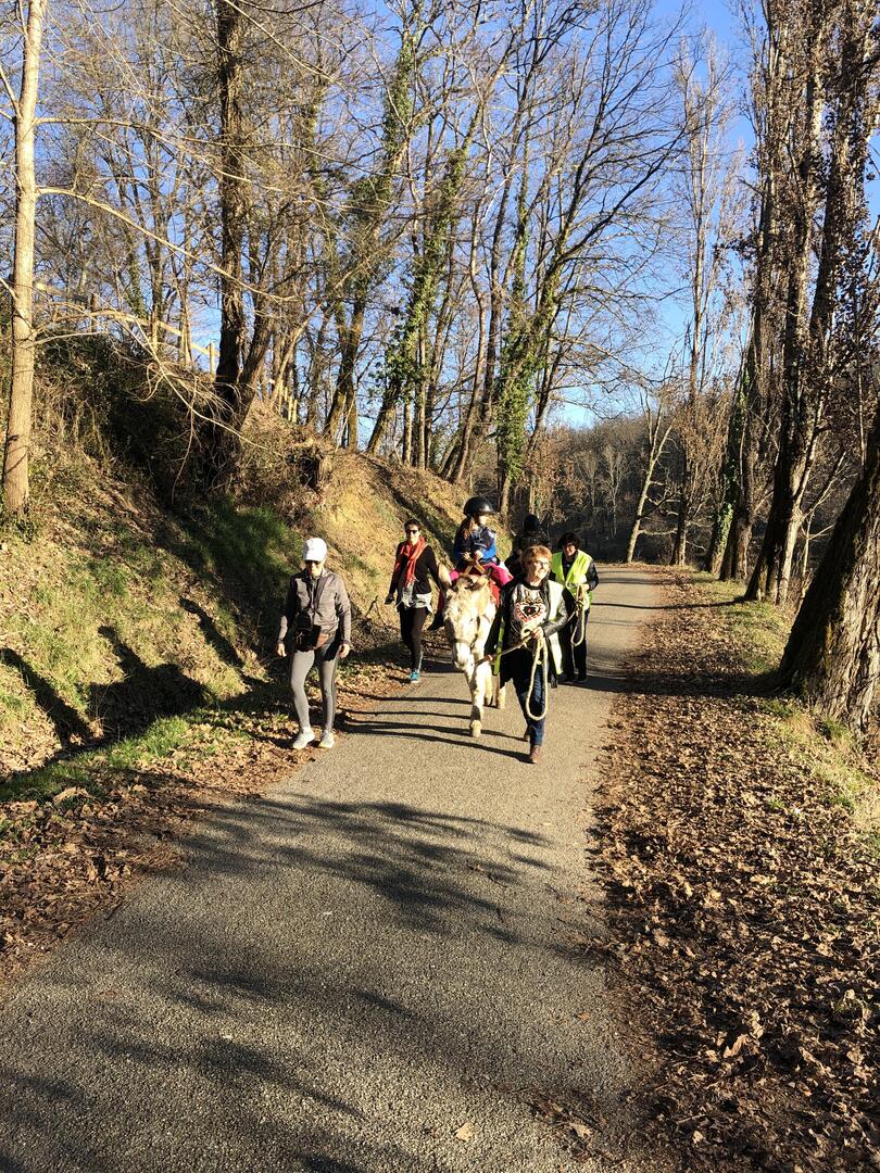 Balade aux couleurs de l'hiver_Lafrançaise