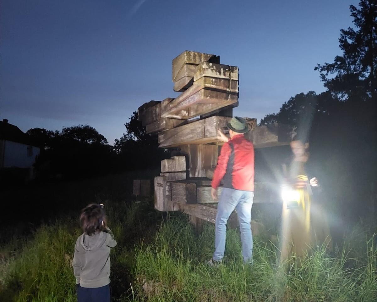 Visite guidée, « Le parc de sculptures de la Faisanderie de Sénart en nocturne »_Étiolles