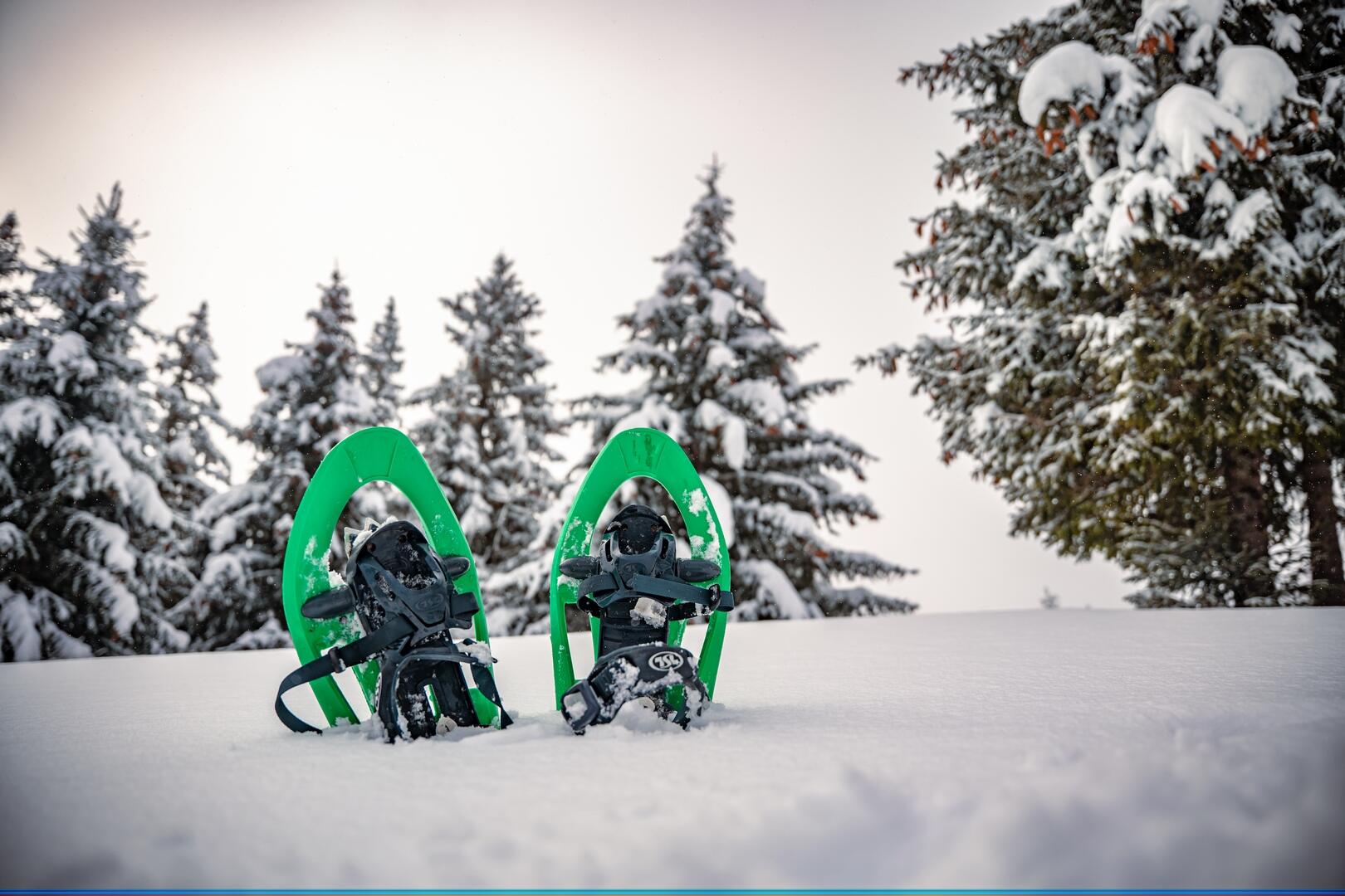 Boucle découverte du Plateau de la Ramée_Le Collet
