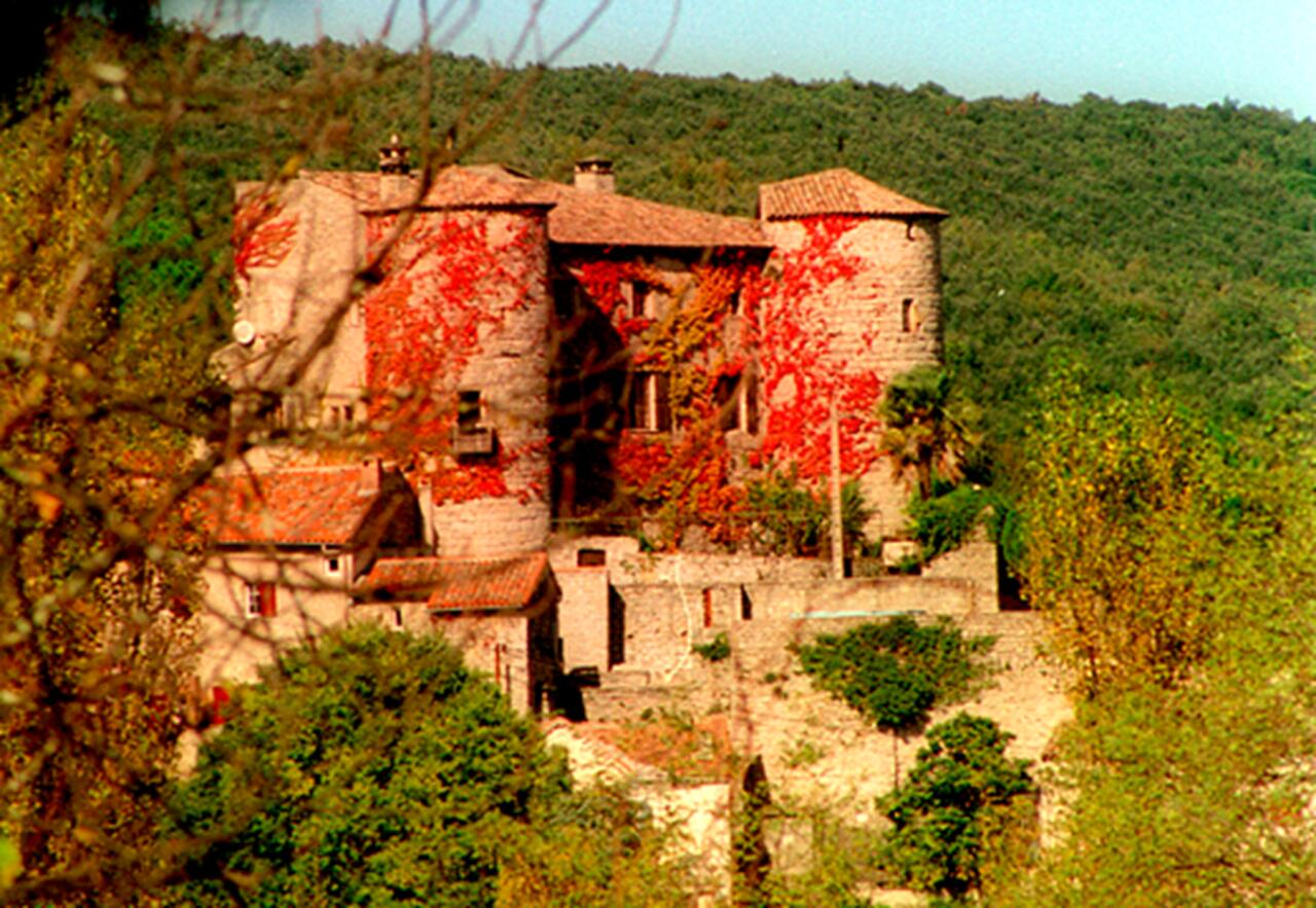 Château de la Tour