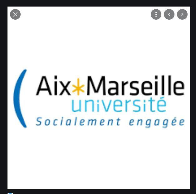 Aix Marseille Université