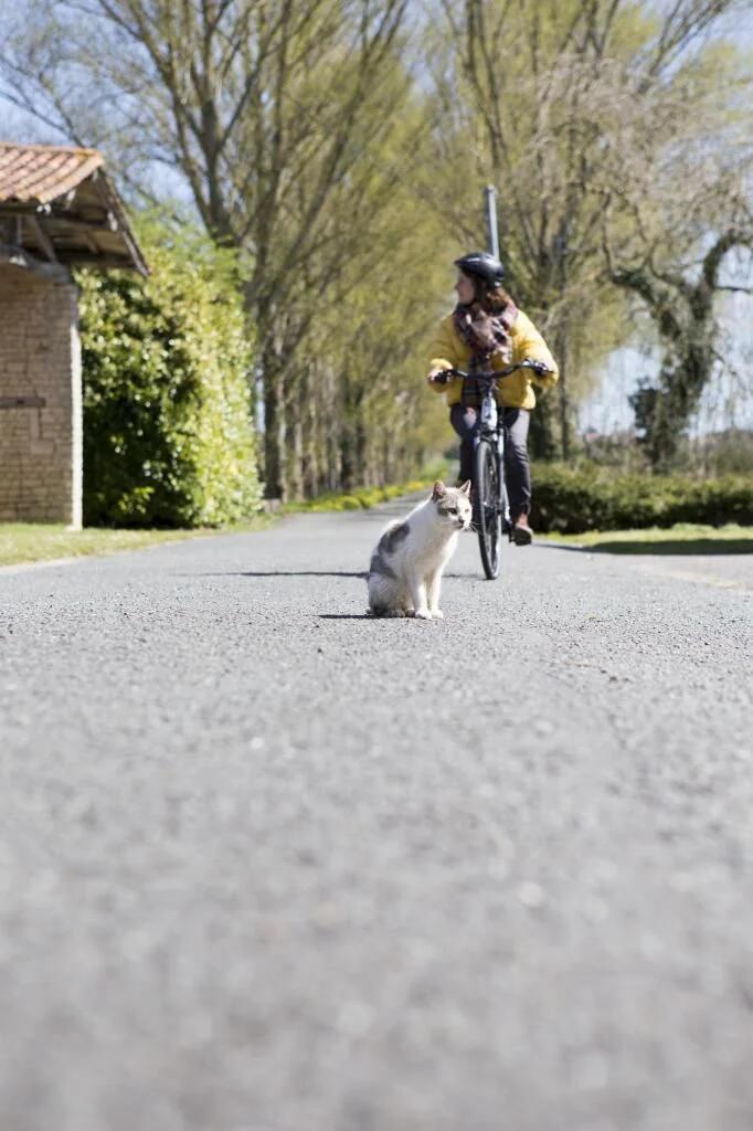 Mai à vélo à la médiathèque_Rochefort