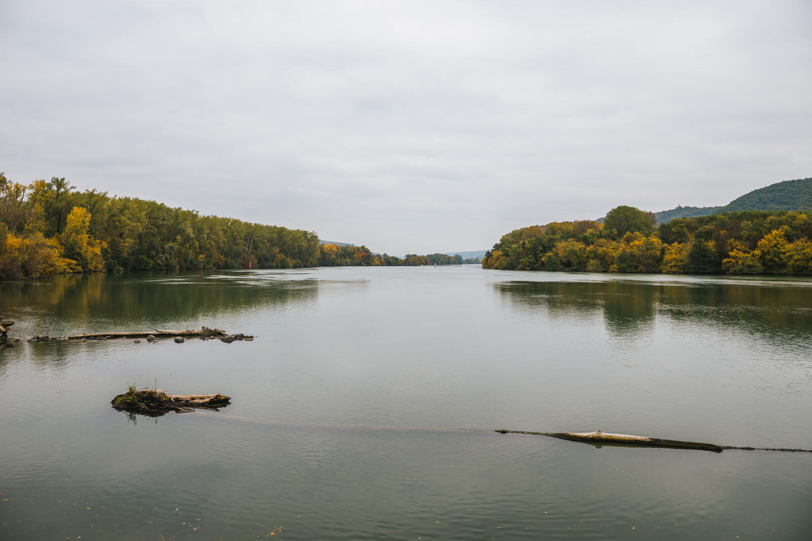 Balades découverte du patrimoine naturel de l'île du Beurre_Tupin-et-Semons