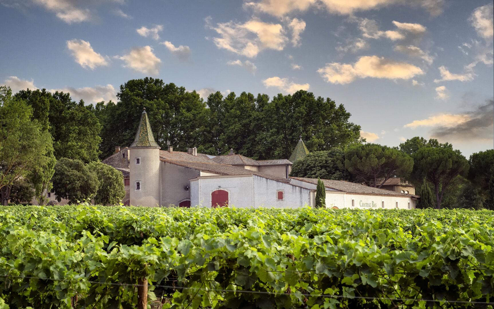 Balade gourmande à Château Bas_Vernègues